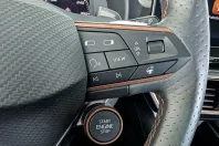 Cupra Formentor din 2022 cu 17.866 km - oferta CUP120975 - foto 27