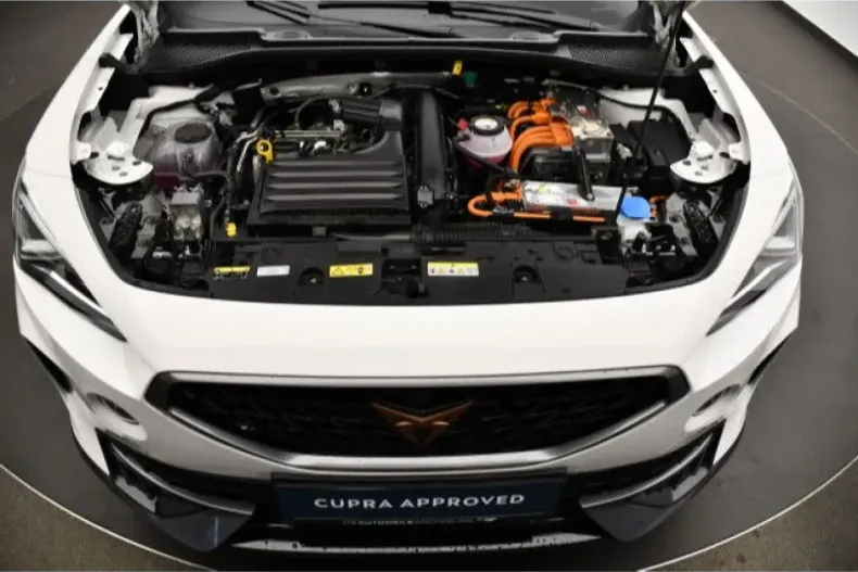 Cupra Formentor din 2024 cu 26.000 km - oferta CUP121615 - foto 13