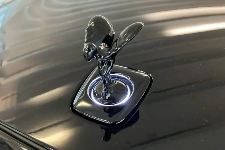 Rolls-Royce Spectre din 2023 cu 5.000 km - oferta ROL121714 - foto 8