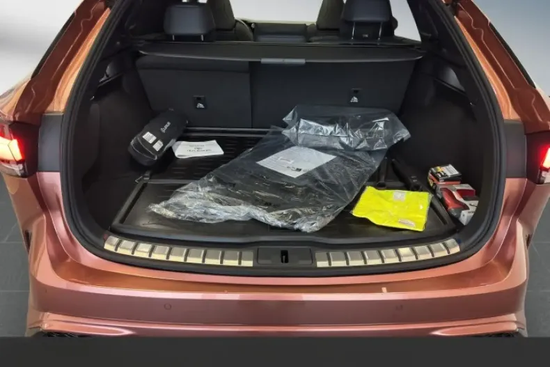 Lexus RX 500 din 2024 cu 10 km - oferta LEX121762 - foto 19