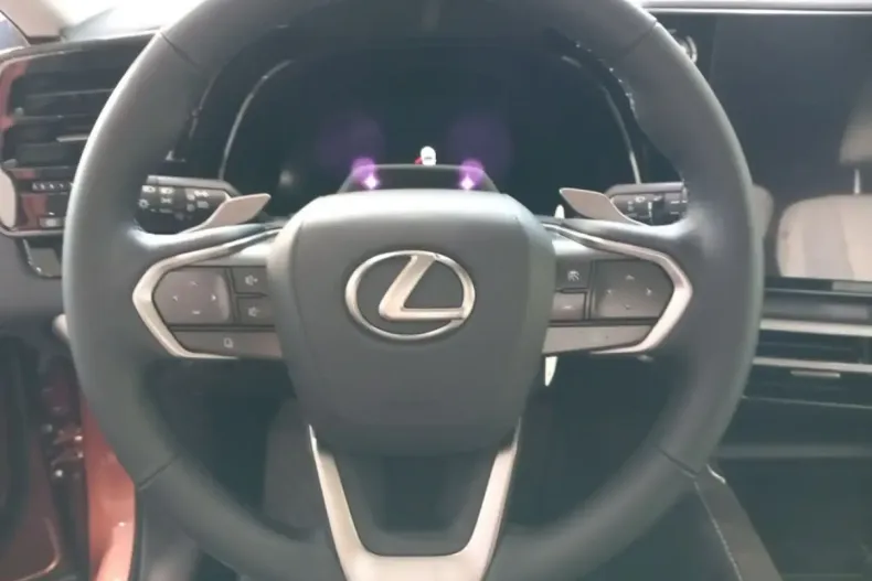 Lexus RX 450 din 2024 cu 10 km - oferta LEX122340 - foto 6