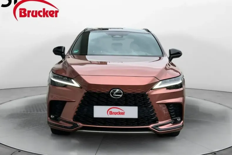 Lexus RX 500 din 2023 cu 75.000 km - oferta LEX122353 - foto 11