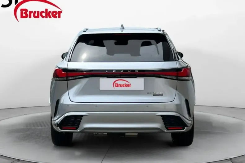 Lexus RX 500 din 2023 cu 60.000 km - oferta LEX122354 - foto 7