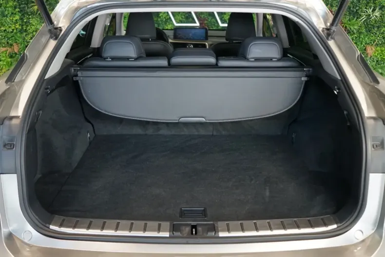 Lexus RX 300 din 2022 cu 48.838 km - oferta LEX122507 - foto 16