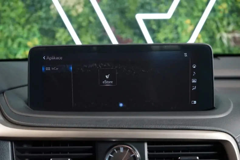 Lexus RX 300 din 2022 cu 48.838 km - oferta LEX122507 - foto 28