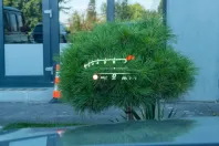 Mercedes-Benz S 63 AMG din 2023 cu 30.753 km - oferta MER122577 - foto 25