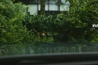 BMW X5 din 2023 cu 50.500 km - oferta BMW122796 - foto 23