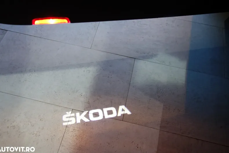 Skoda Superb din 2020 cu 164.166 km - oferta SKO123222 - foto 35