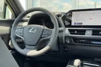Lexus UX din 2024 cu 2.500 km - oferta LEX124355 - foto 31