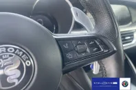 Alfa Romeo Stelvio din 2024 cu 45.550 km - oferta ALF124848 - foto 17