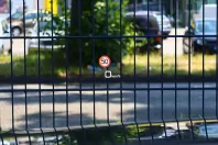 Audi RSQ8 din 2021 cu 76.900 km - oferta AUD124985 - foto 25