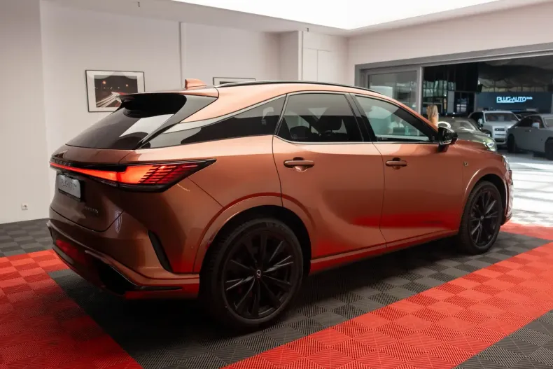 Lexus RX 500 din 2024 cu 21 km - oferta LEX125330 - foto 6