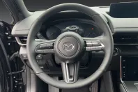 Mazda MX-30 din 2023 cu 6.051 km - oferta MAZ125336 - foto 12
