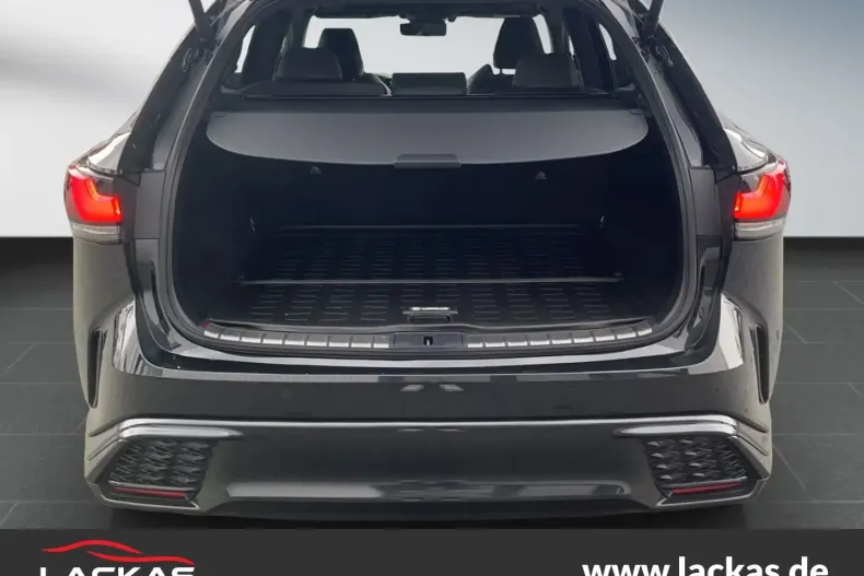 Lexus RX 500 din 2023 cu 7.280 km - oferta LEX125692 - foto 19