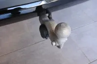 Volvo XC60 din 2023 cu 8.300 km - oferta VOL125829 - foto 26