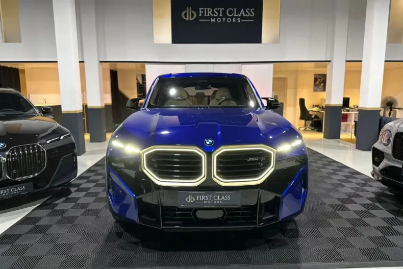 BMW XM din 2023 cu 30 km - oferta BMW126004 - foto 14