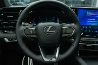 Lexus RX 500 din 2024 cu 20 km - oferta LEX126067 - foto 31