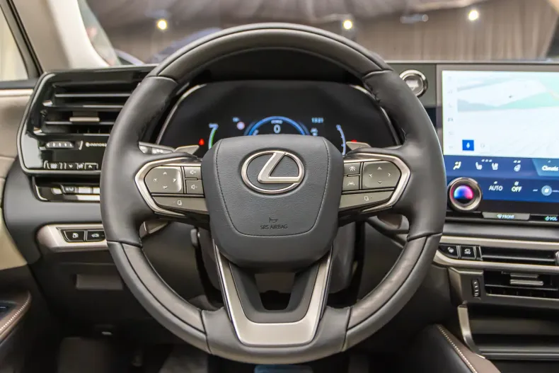 Lexus RX 450 din 2024 cu 9 km - oferta LEX126088 - foto 23