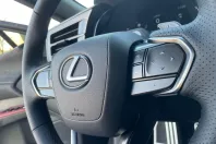 Lexus RX 500 din 2023 cu 7 km - oferta LEX126091 - foto 20