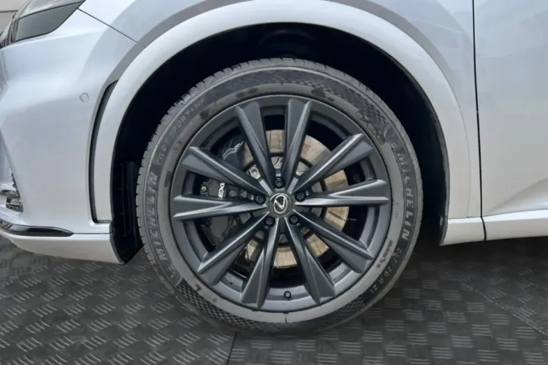 Lexus RX 500 din 2023 cu 60.000 km - oferta LEX126218 - foto 14