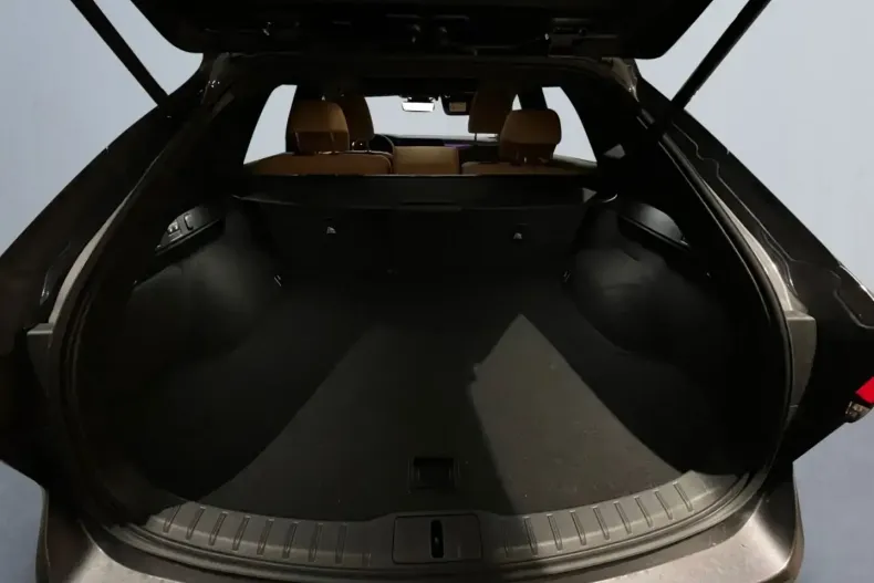 Lexus RX 350 din 2023 cu 21.000 km - oferta LEX126259 - foto 9