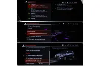 BMW X5 din 2020 cu 145.541 km - oferta BMW126754 - foto 37