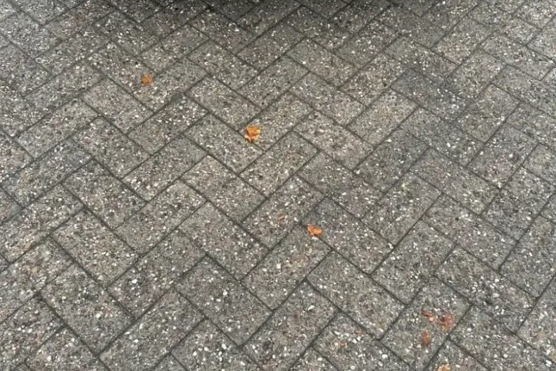 Volvo S60 din 2024 cu 30.000 km - oferta VOL126825 - foto 15