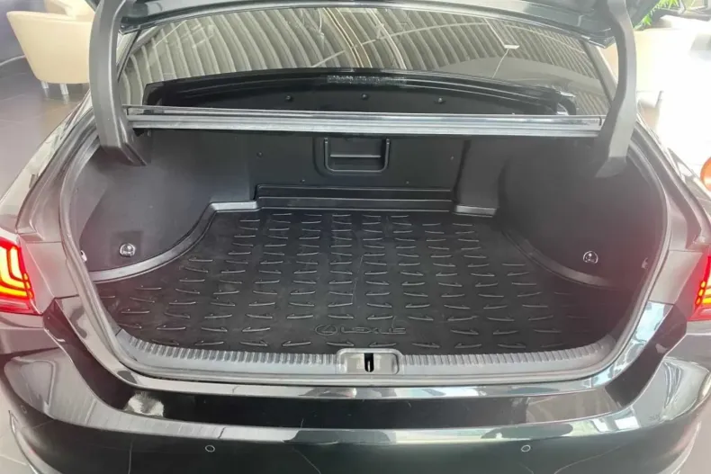 Lexus ES 300 din 2020 cu 45.082 km - oferta LEX126983 - foto 10