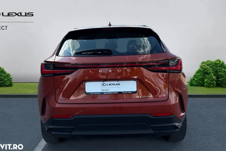 Lexus Seria NX din 2024 cu 33.414 km - oferta LEX128274 - foto 7
