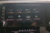 Audi e-tron din 2020 cu 40.000 km - oferta AUD129466 - foto 17