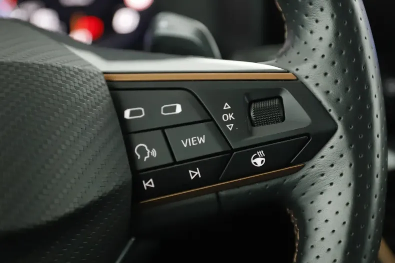 Cupra Formentor din 2022 cu 19.962 km - oferta CUP129694 - foto 20