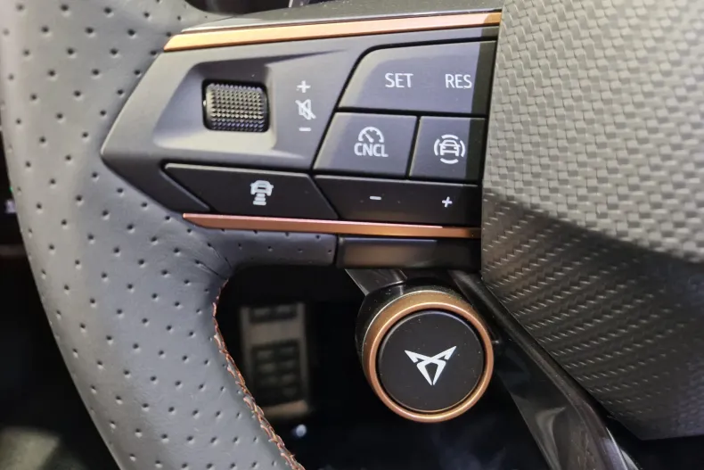 Cupra Formentor din 2025 cu 5.000 km - oferta CUP129750 - foto 18