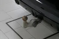 BMW X5 din 2022 cu 117.967 km - oferta BMW131115 - foto 14