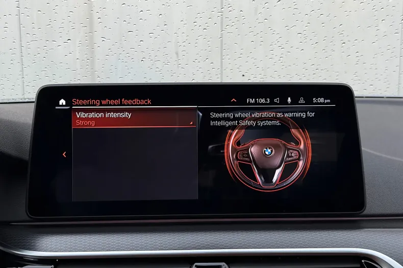 BMW Seria 5 din 2021 cu 73.000 km - oferta BMW131309 - foto 21