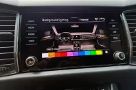 Skoda Kodiaq din 2021 cu 75.315 km - oferta SKO131546 - foto 32