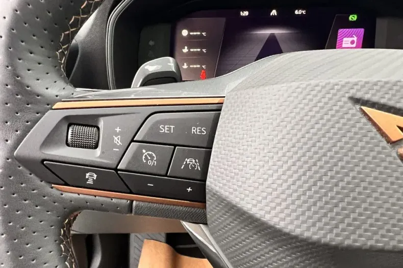 Cupra Formentor din 2024 cu 20.000 km - oferta CUP132163 - foto 14