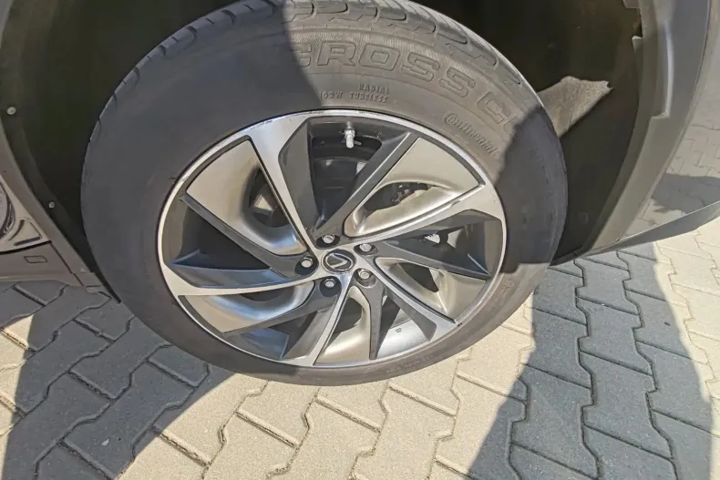 Lexus Seria RX din 2019 cu 152.600 km - oferta LEX133373 - foto 22