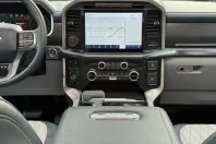 Ford F 150 din 2023 cu 250 km - oferta FOR134321 - foto 23