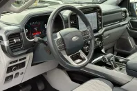 Ford F 150 din 2023 cu 250 km - oferta FOR134321 - foto 31