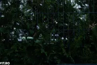 Mercedes-Benz GLE din 2020 cu 90.500 km - oferta MER135580 - foto 34