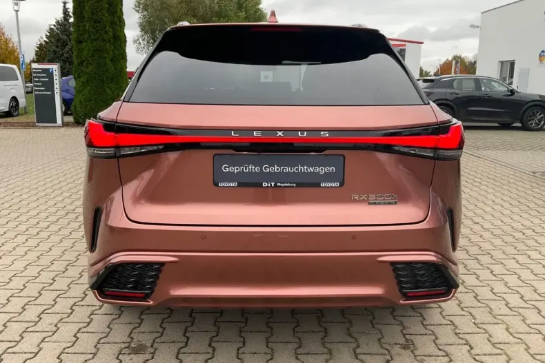 Lexus RX 500 din 2024 cu 20.000 km - oferta LEX136885 - foto 3