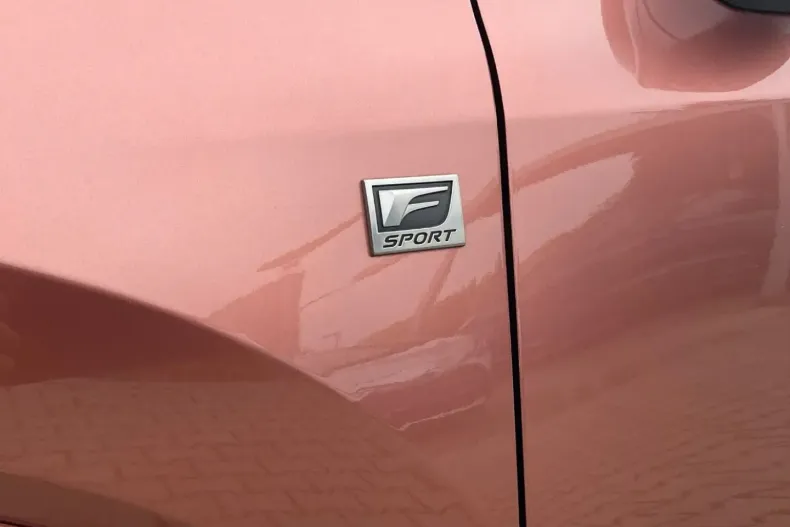 Lexus RX 500 din 2024 cu 20.000 km - oferta LEX136885 - foto 7