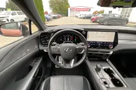 Lexus RX 500 din 2024 cu 20.000 km - oferta LEX136885 - foto 10