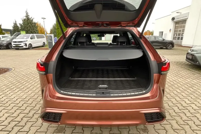 Lexus RX 500 din 2024 cu 20.000 km - oferta LEX136885 - foto 26