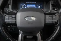 Ford F 150 din 2024 cu 65.604 km - oferta FOR137077 - foto 13