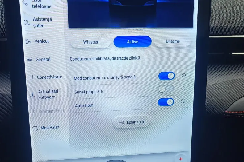 Ford Mustang Mach-E din 2025 cu 1.542 km - oferta FOR138729 - foto 14