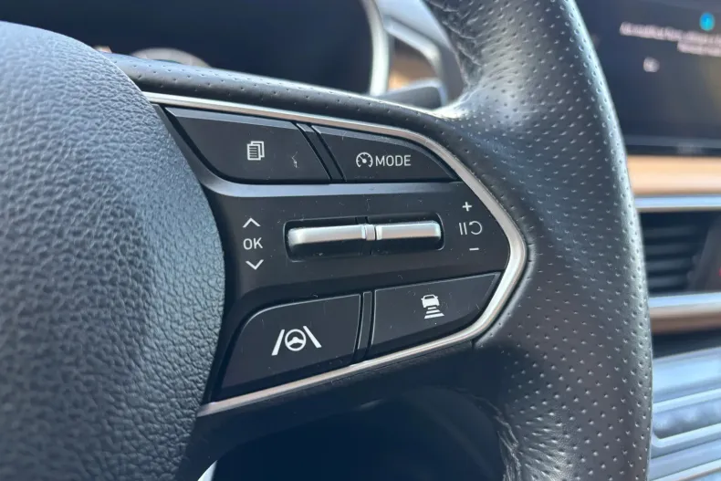 Hyundai SANTA FE din 2021 cu 116.000 km - oferta HYU138987 - foto 17