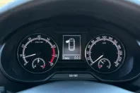 Skoda Octavia din 2019 cu 173.800 km - oferta SKO139005 - foto 34