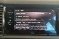 Skoda Kodiaq din 2019 cu 123.058 km - oferta SKO140066 - foto 27