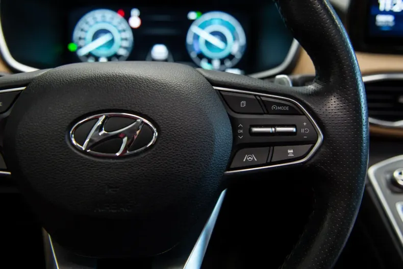 Hyundai SANTA FE din 2021 cu 95.950 km - oferta HYU140787 - foto 19